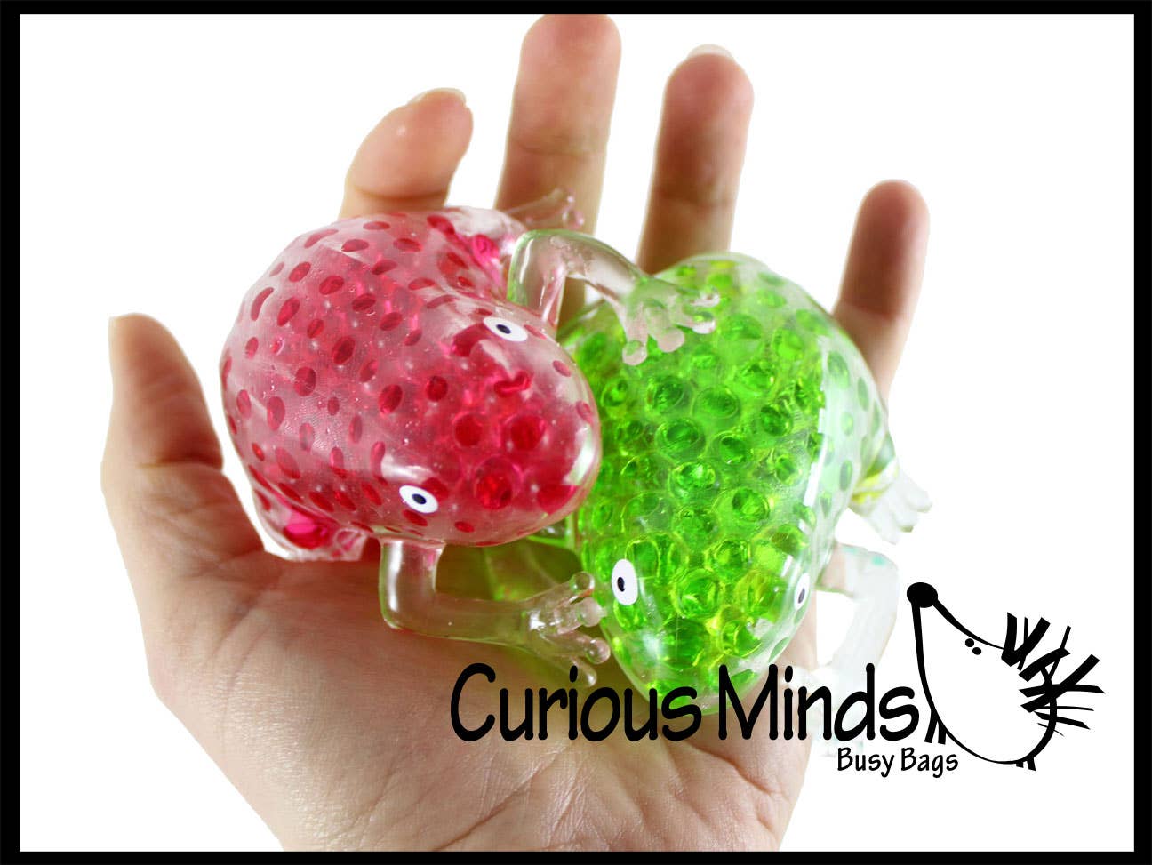Frog Water Bead Filled Squeeze Stress Ball - Sensory, Stre