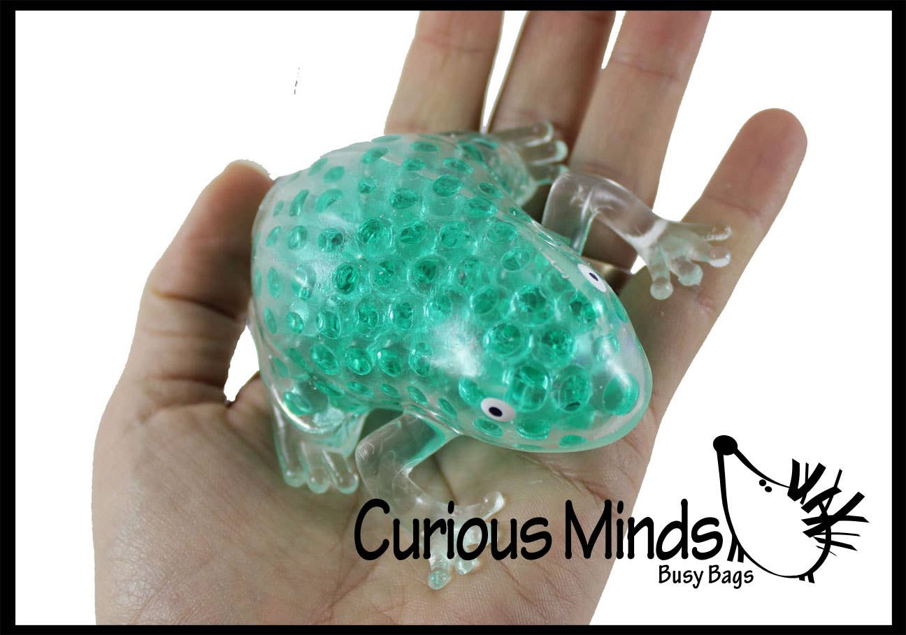 Frog Water Bead Filled Squeeze Stress Ball - Sensory, Stre