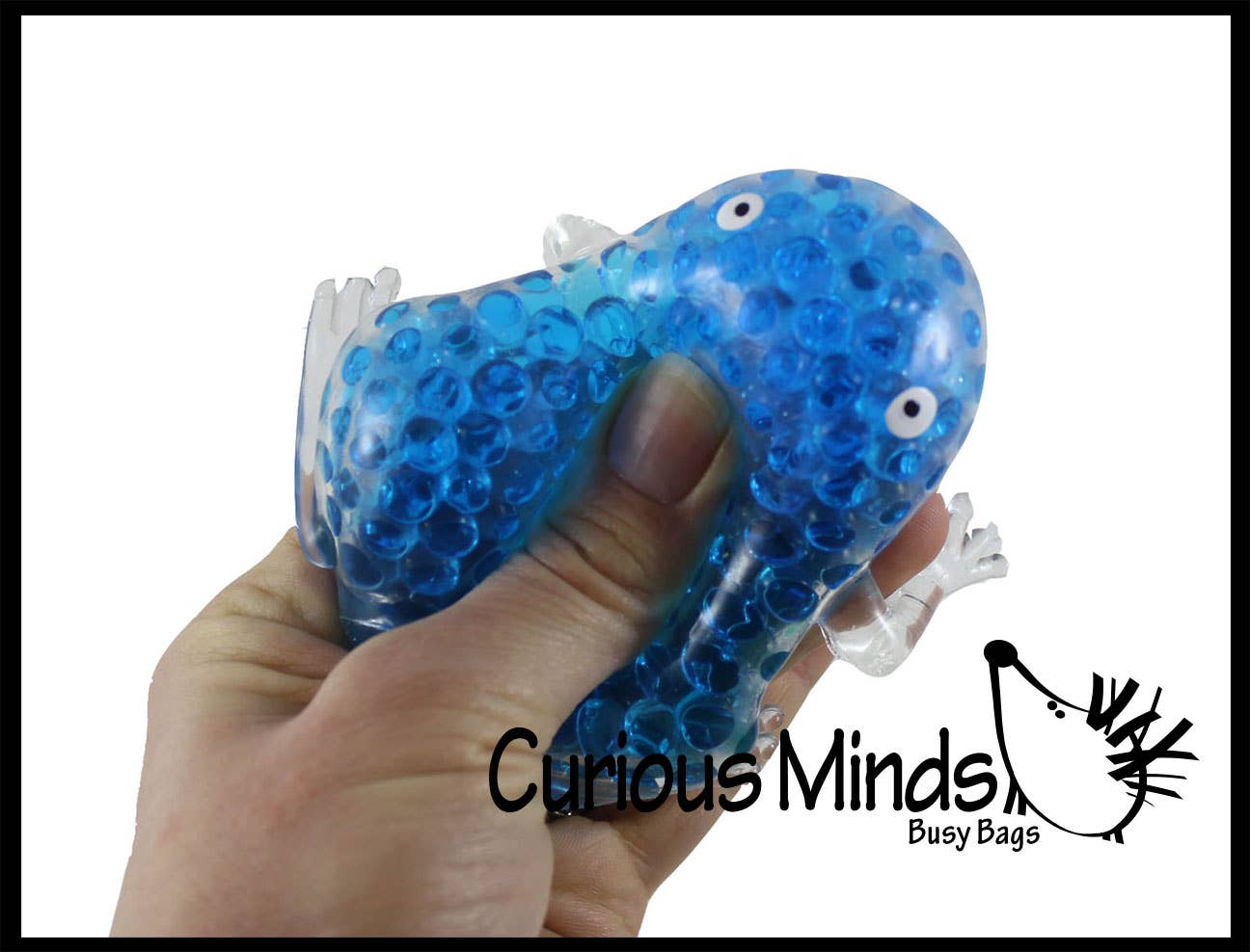 Frog Water Bead Filled Squeeze Stress Ball  -  Sensory, Stre